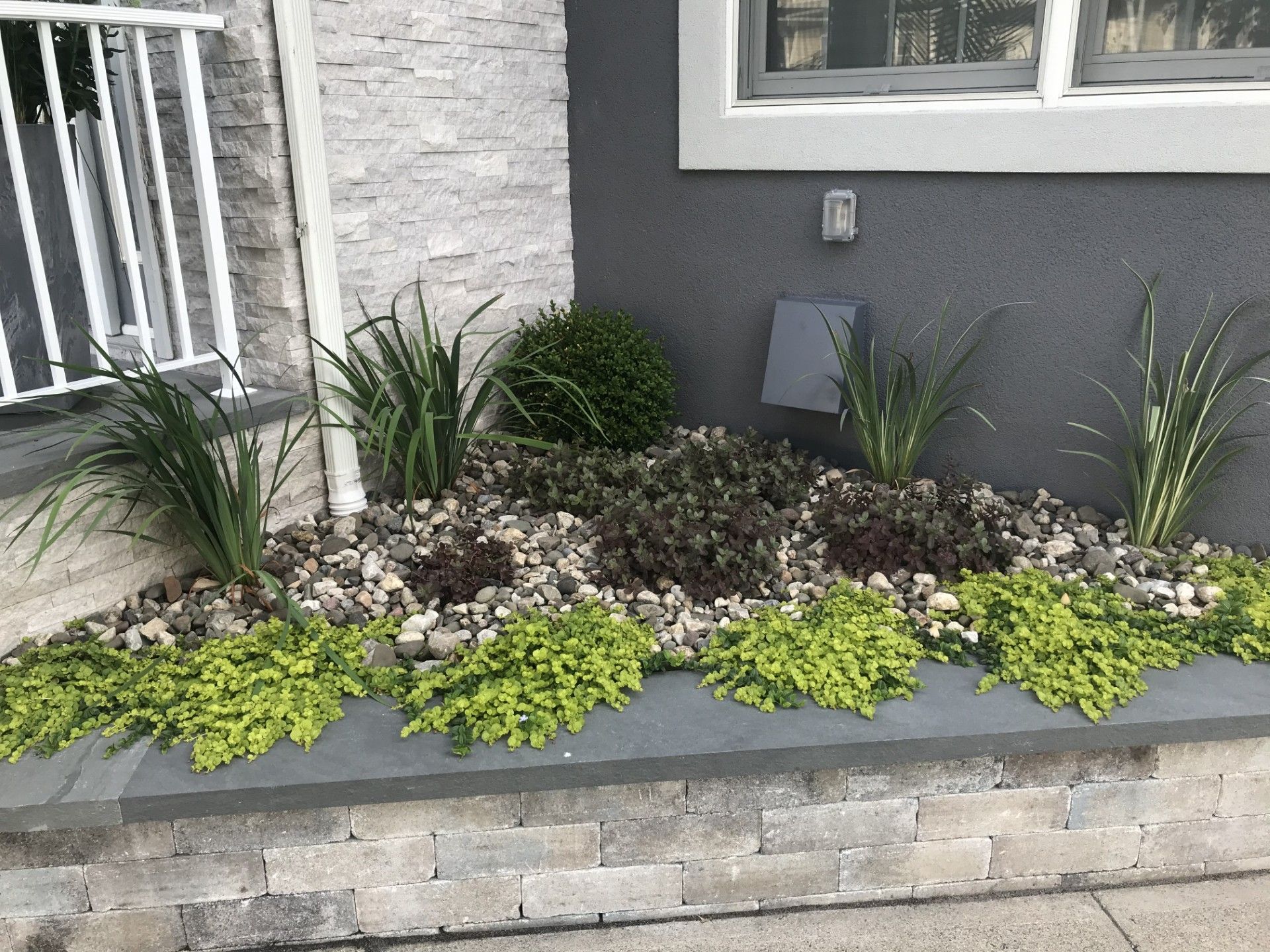 A tiered garden bed with stone walls, decorative rocks, green foliage, and taller grass-like plants against a house wall.