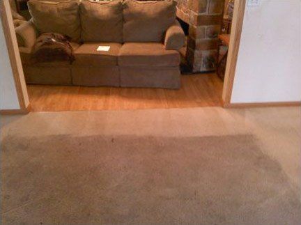 carpet and upholstery cleaning