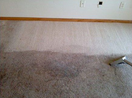 carpet and upholstery cleaning