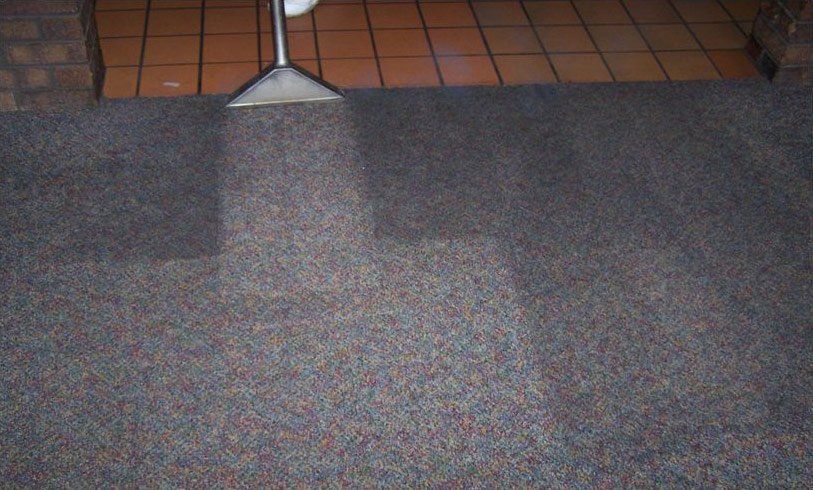 carpet and upholstery cleaning