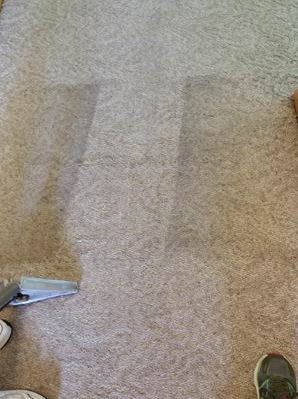 carpet and upholstery cleaning