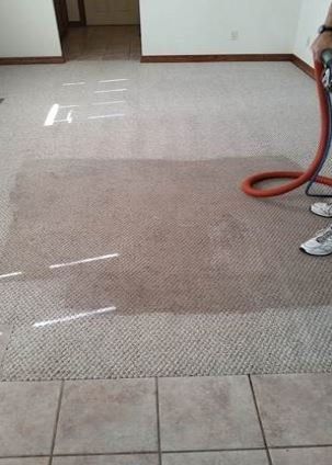 carpet and upholstery cleaning