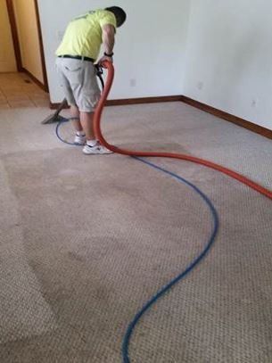 carpet and upholstery cleaning