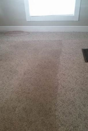 carpet and upholstery cleaning