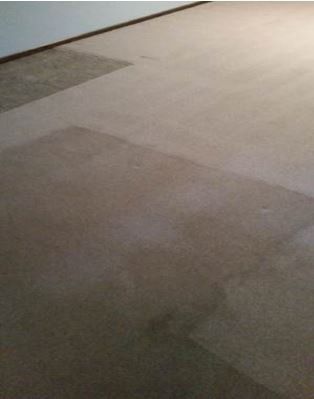 carpet and upholstery cleaning