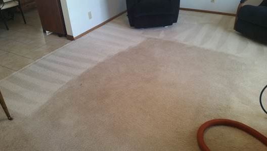 carpet and upholstery cleaning