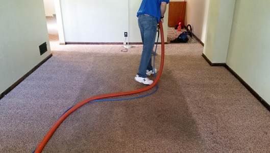 carpet and upholstery cleaning
