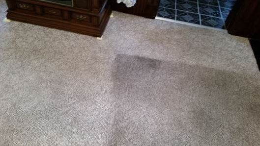 carpet and upholstery cleaning