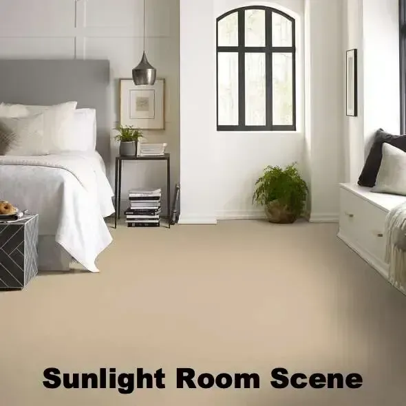 Bedroom with neutral-colored carpet. Features bed, small table, window, and sitting area with pillows. Sunlight room scene.