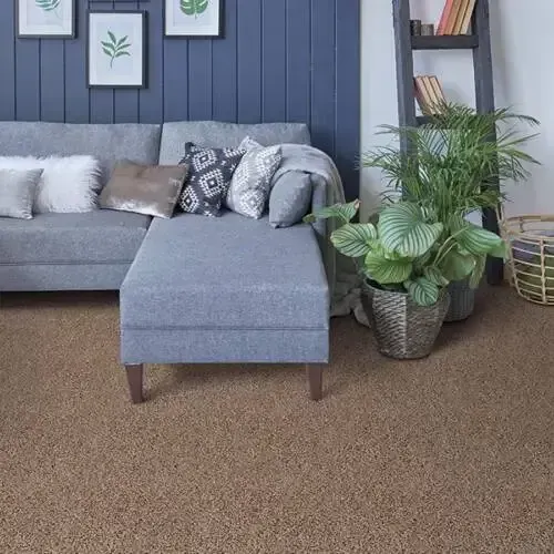 Cozy living room with gray couch, ottoman, plants, and brown carpet against a blue paneled wall.