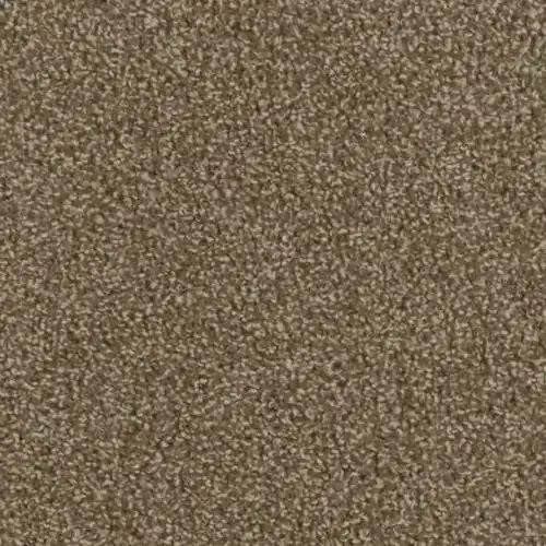 Beige and brown speckled carpet texture.