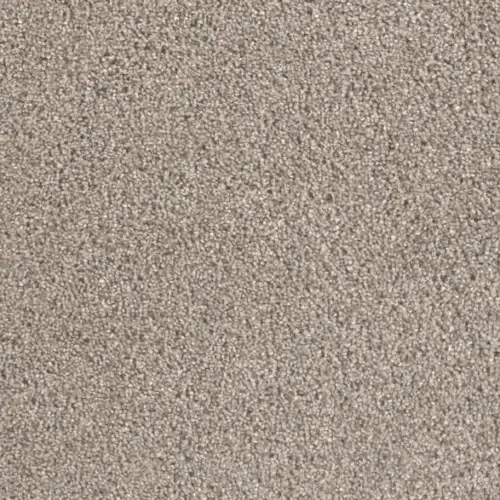 Close-up of a textured, light brown surface with a speckled appearance.