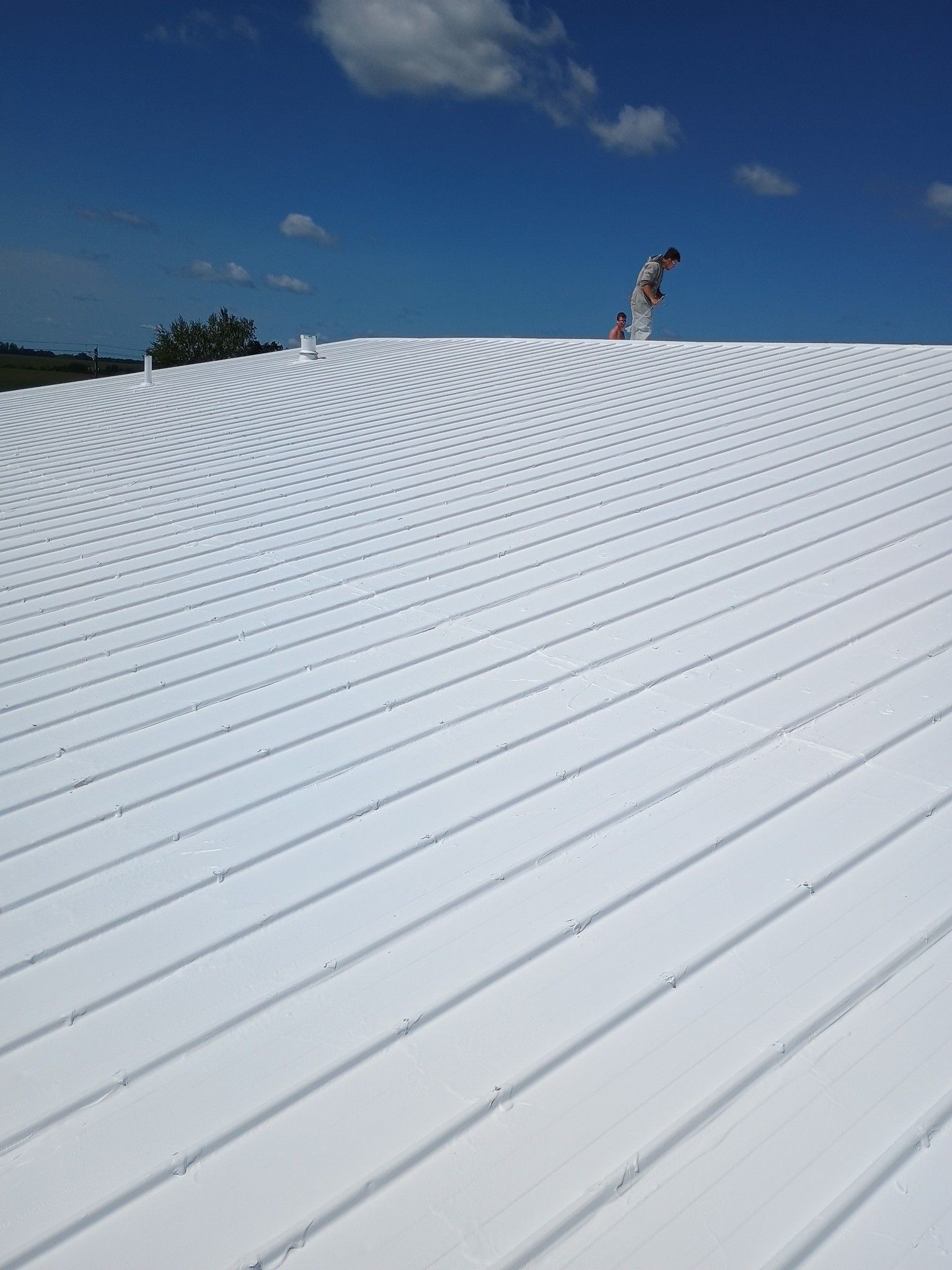 A person paints a large, white corrugated metal roof under a bright blue sky.