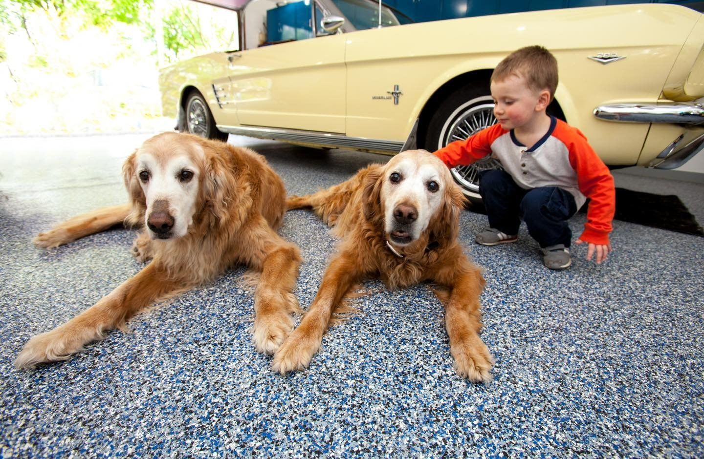 Dogs and a kid inside a garage