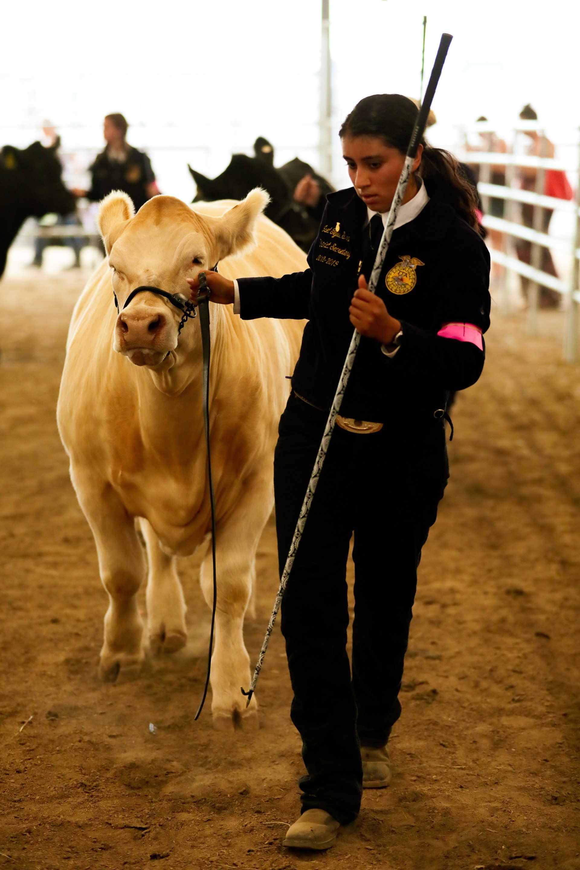 2019 Umatilla County Fair