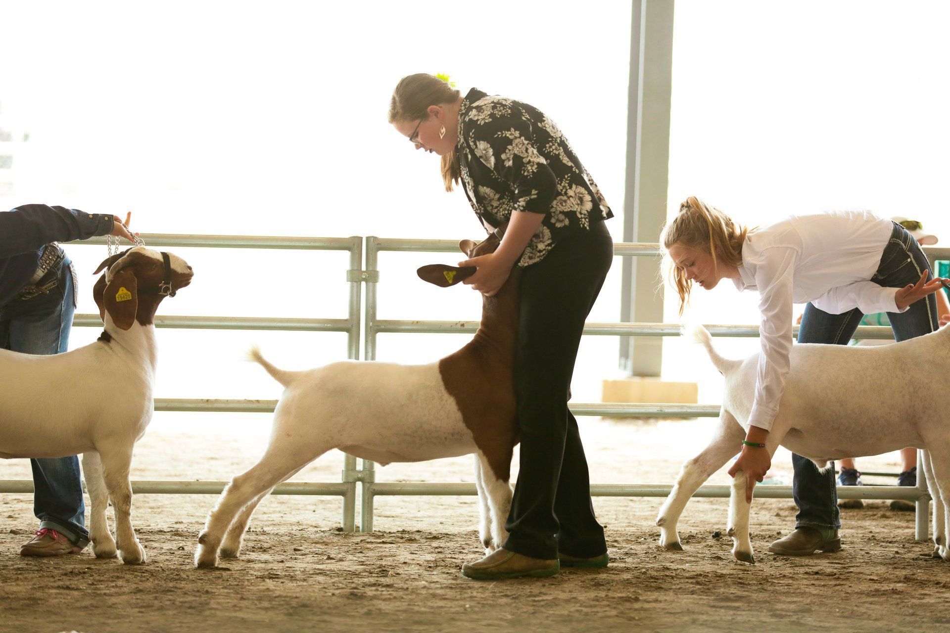 2019 Umatilla County Fair