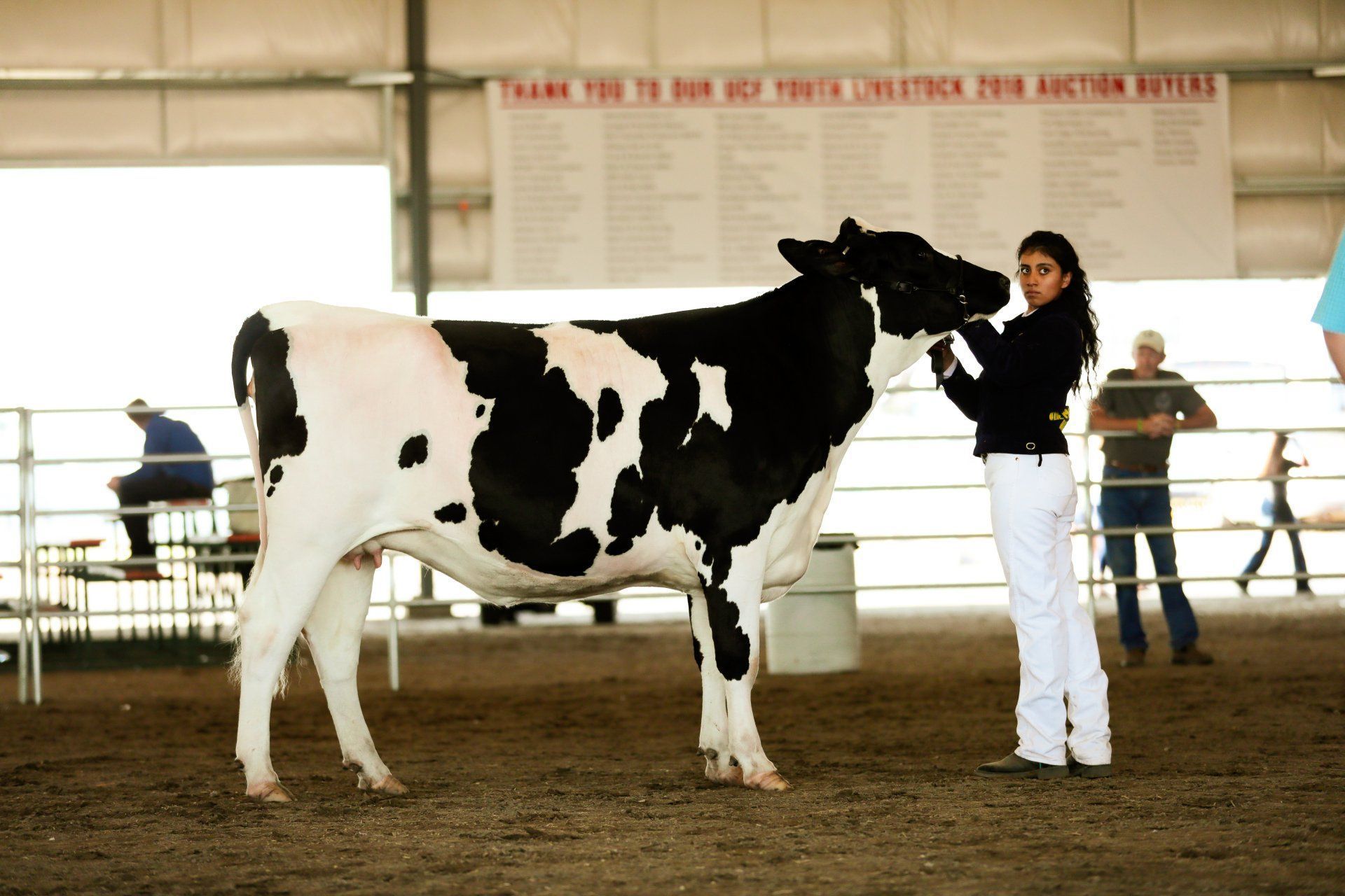 2019 Umatilla County Fair