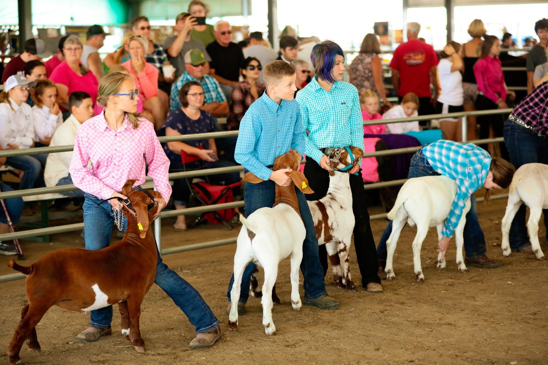 2019 Umatilla County Fair