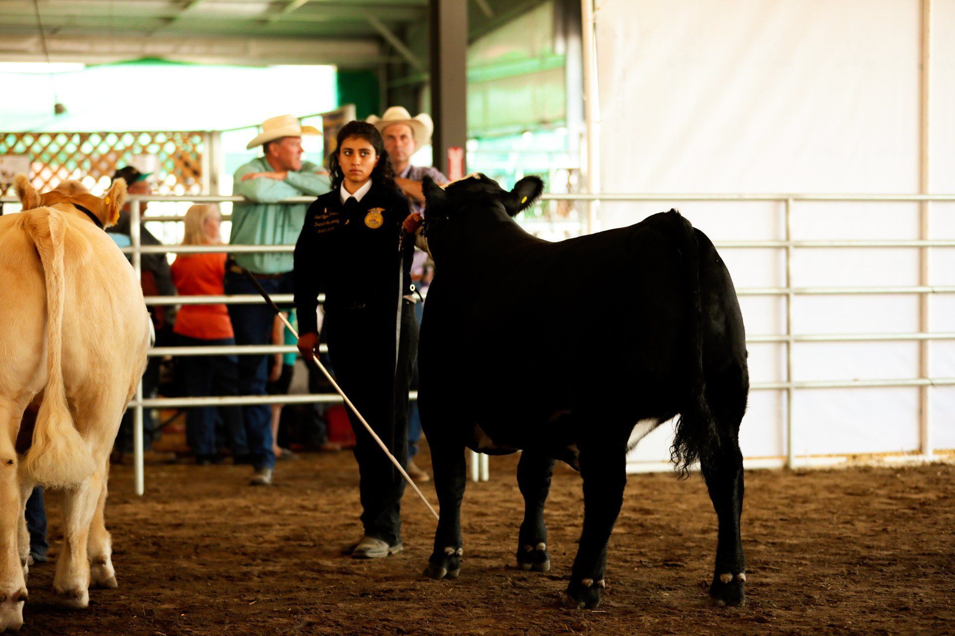 2019 Umatilla County Fair