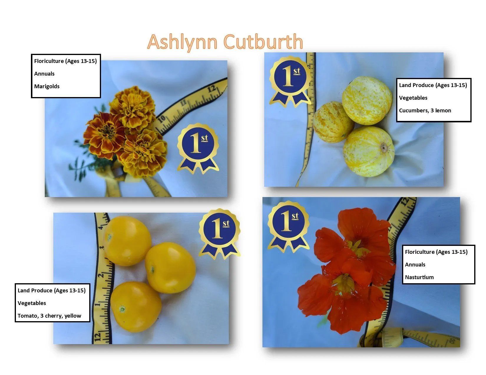 Ashlynn Cutburth's Blue Ribbons! 2020