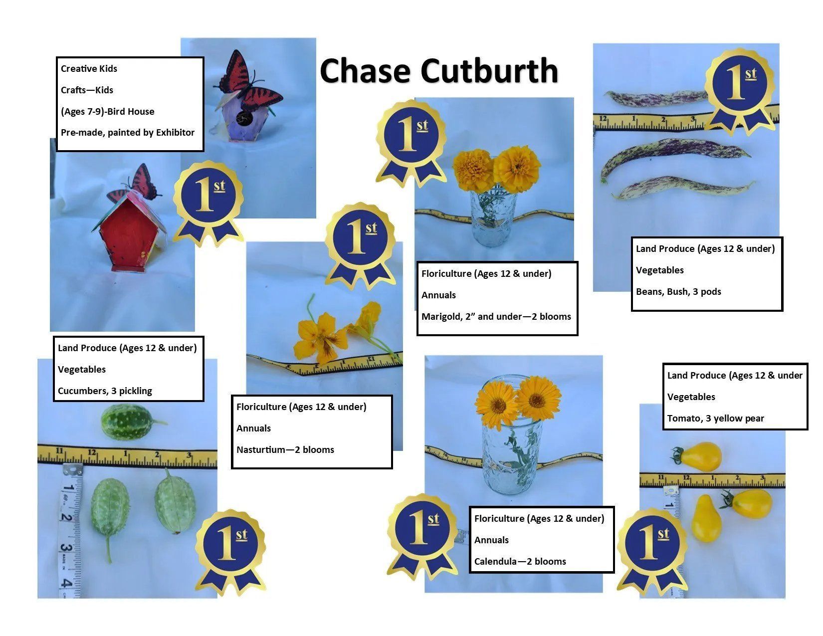 Ashlynn Cutburth's Blue Ribbons! 2020