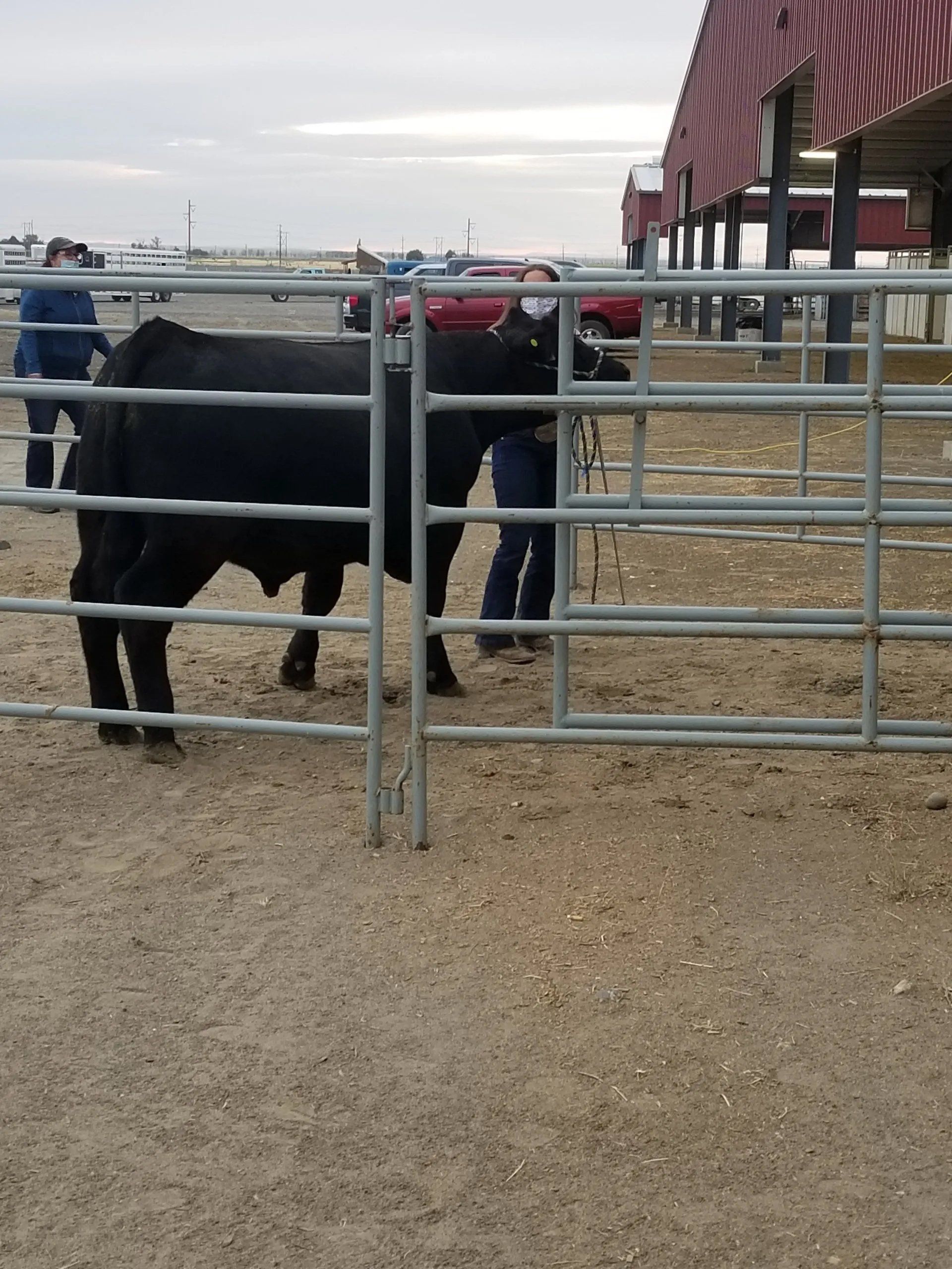2020 Umatilla County Fair