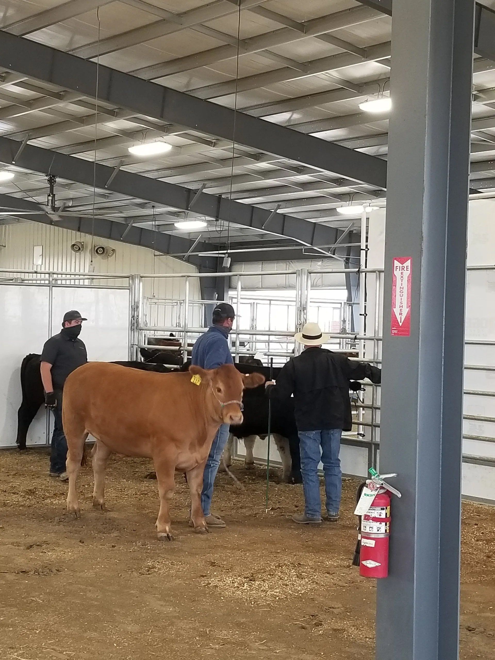 2020 Umatilla County Fair