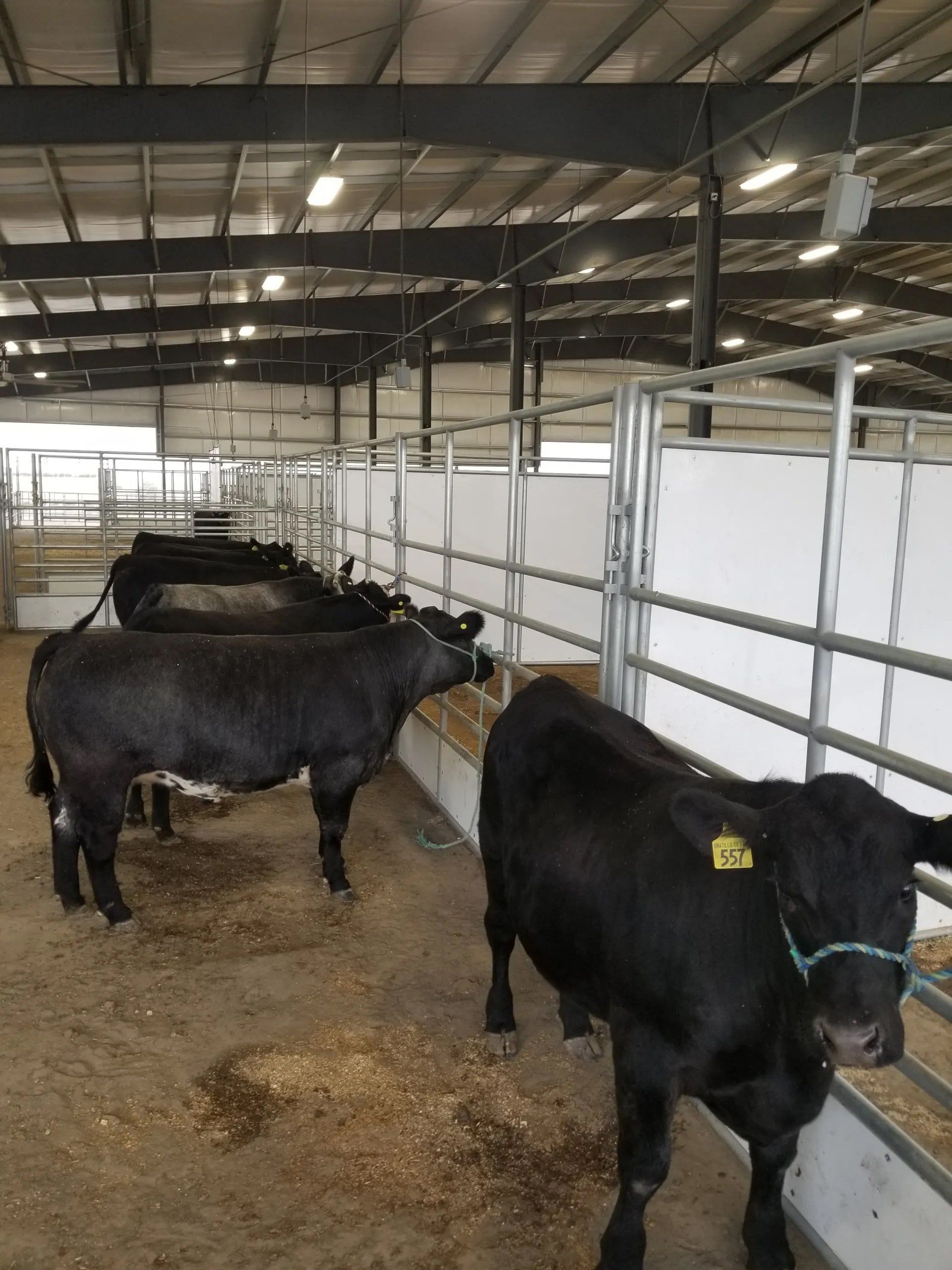 2020 Umatilla County Fair