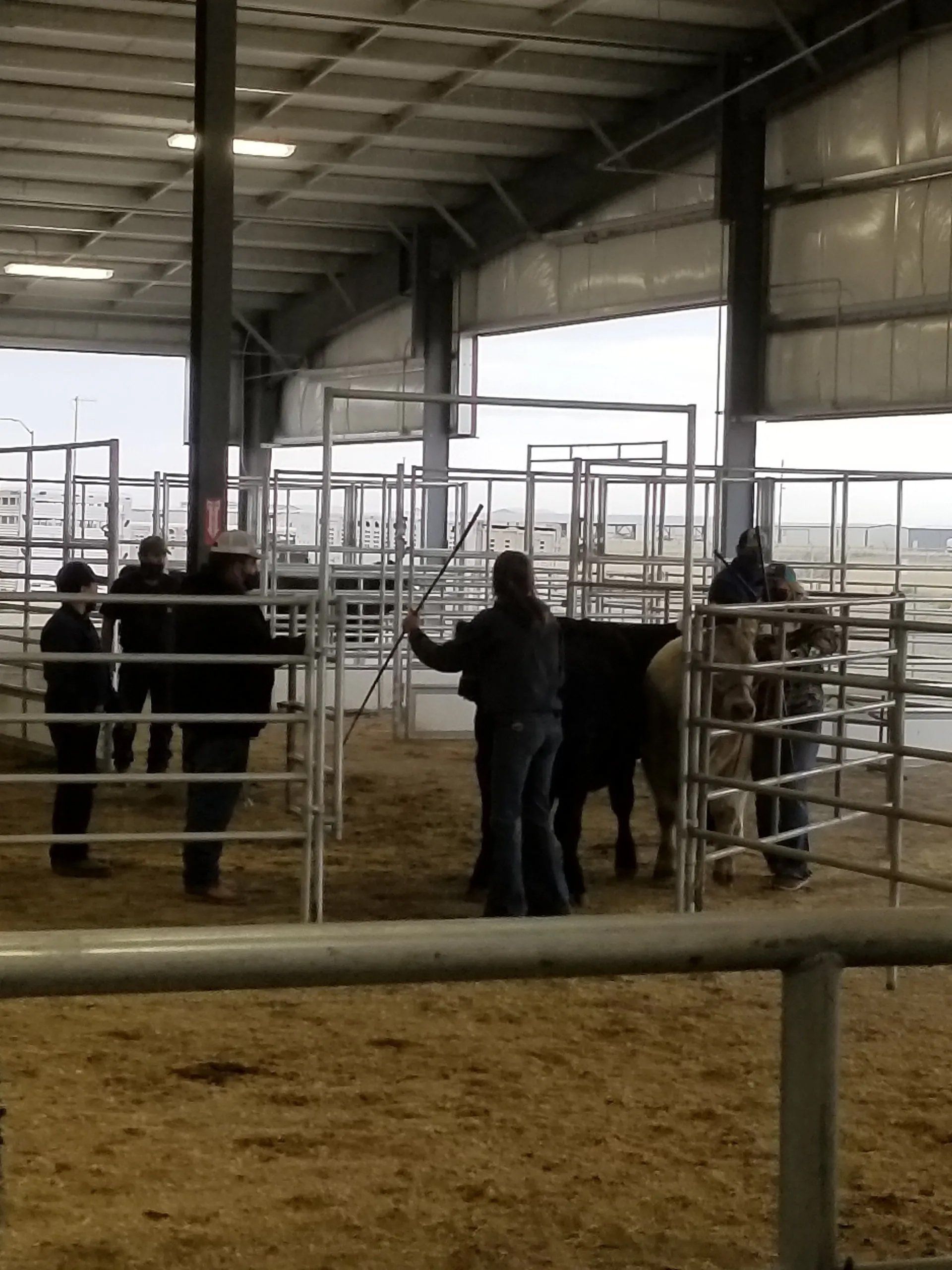 2020 Umatilla County Fair