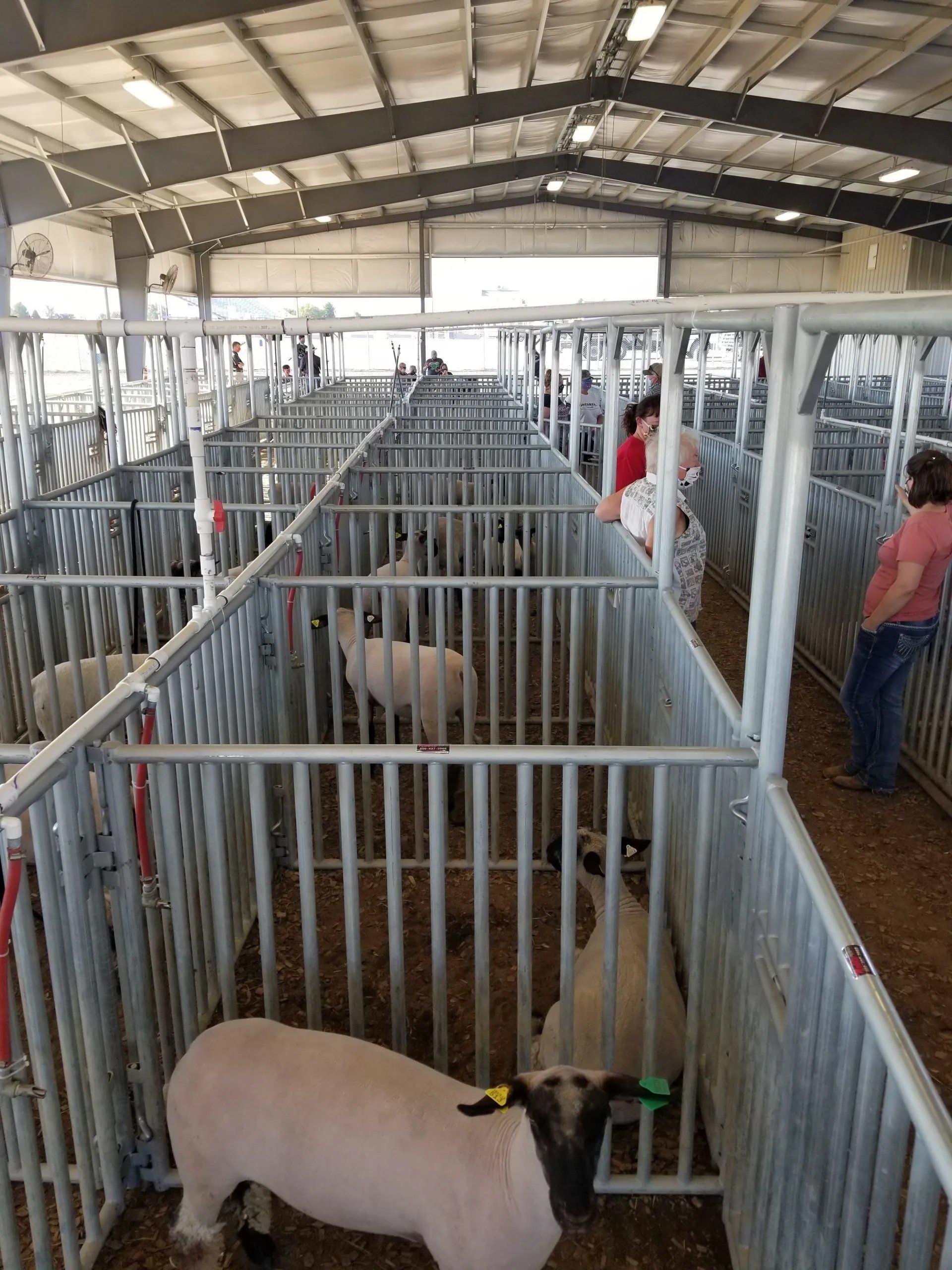 2020 Umatilla County Fair