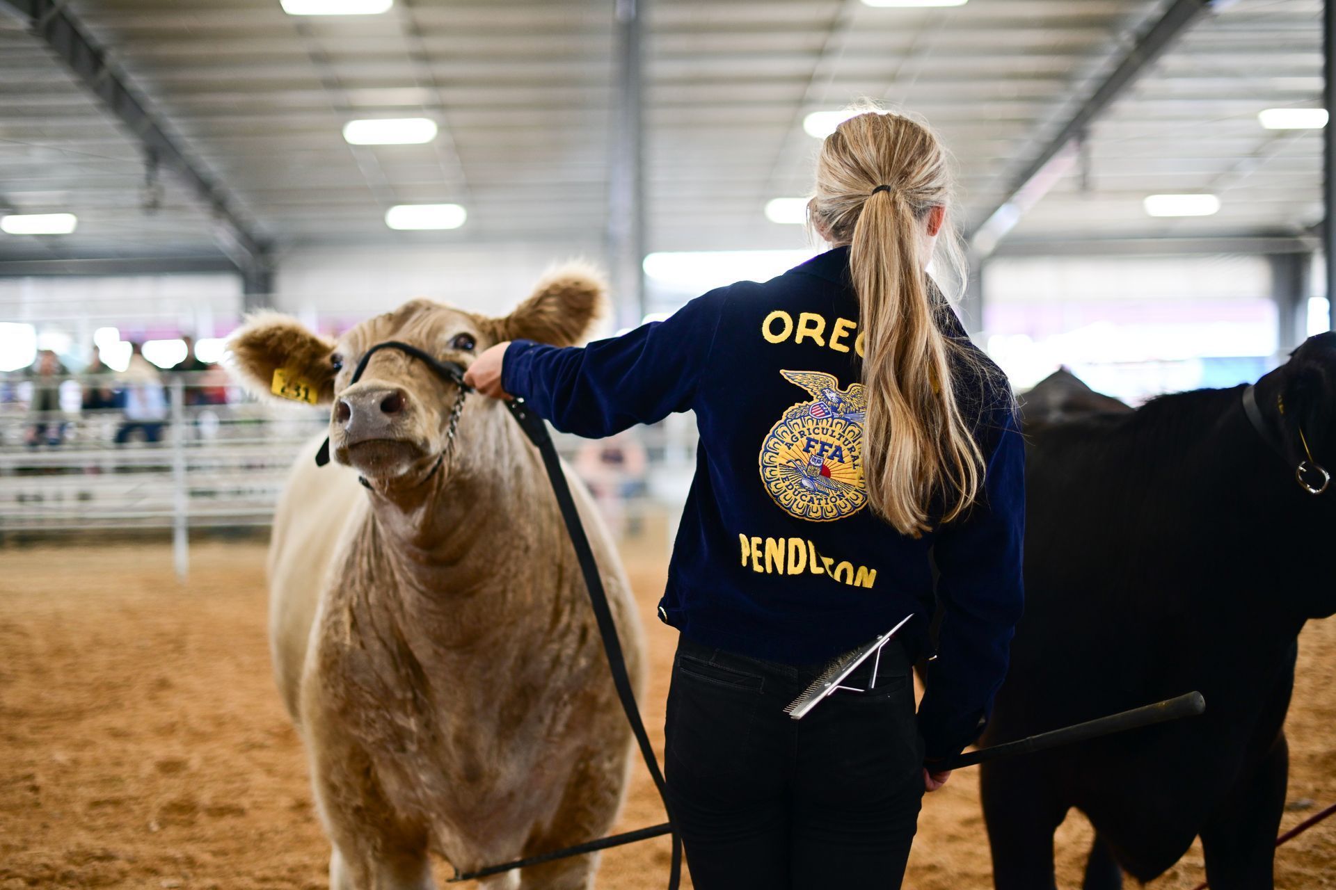 2022 Umatilla County Fair