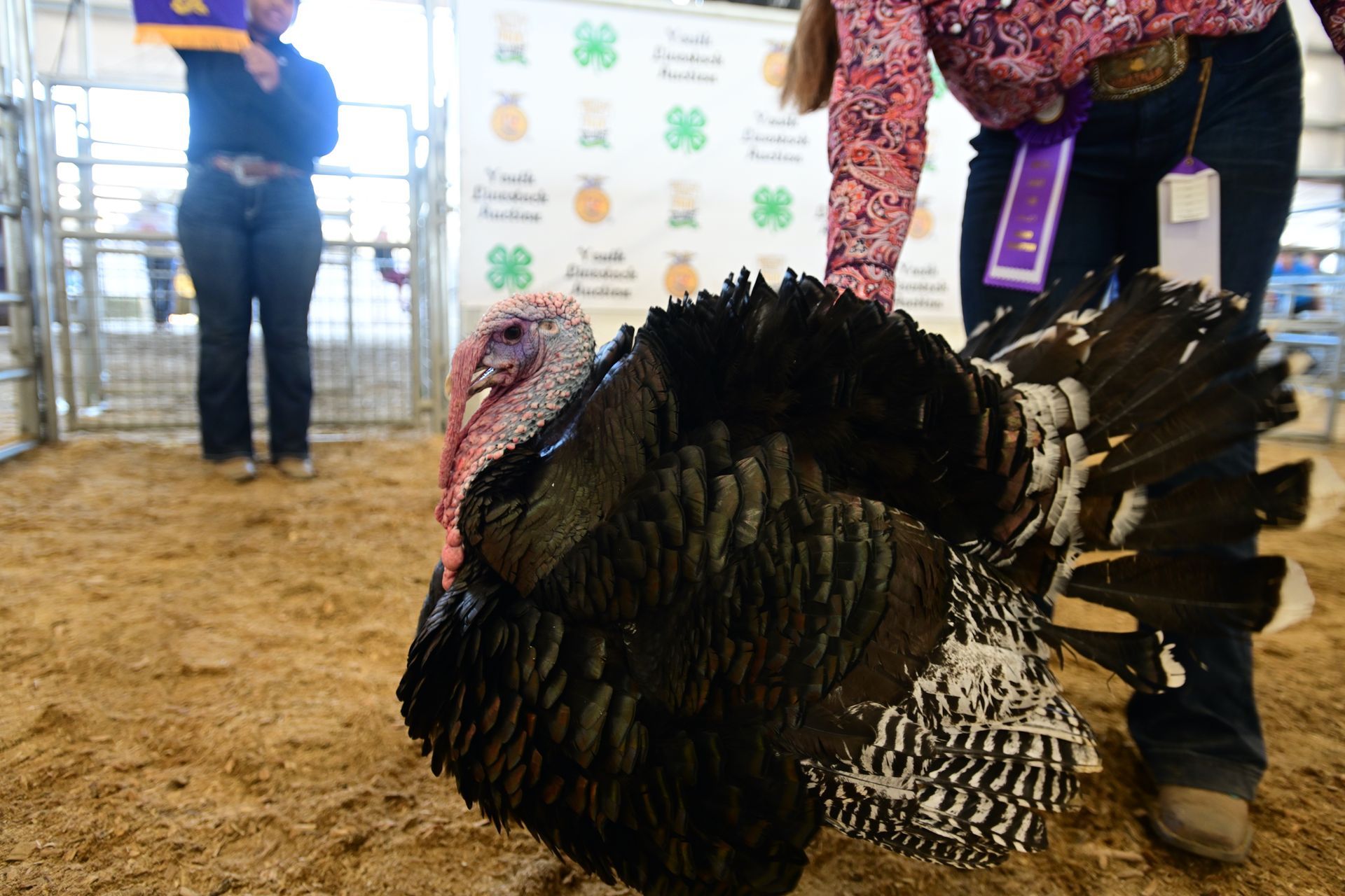 2022 Umatilla County Fair