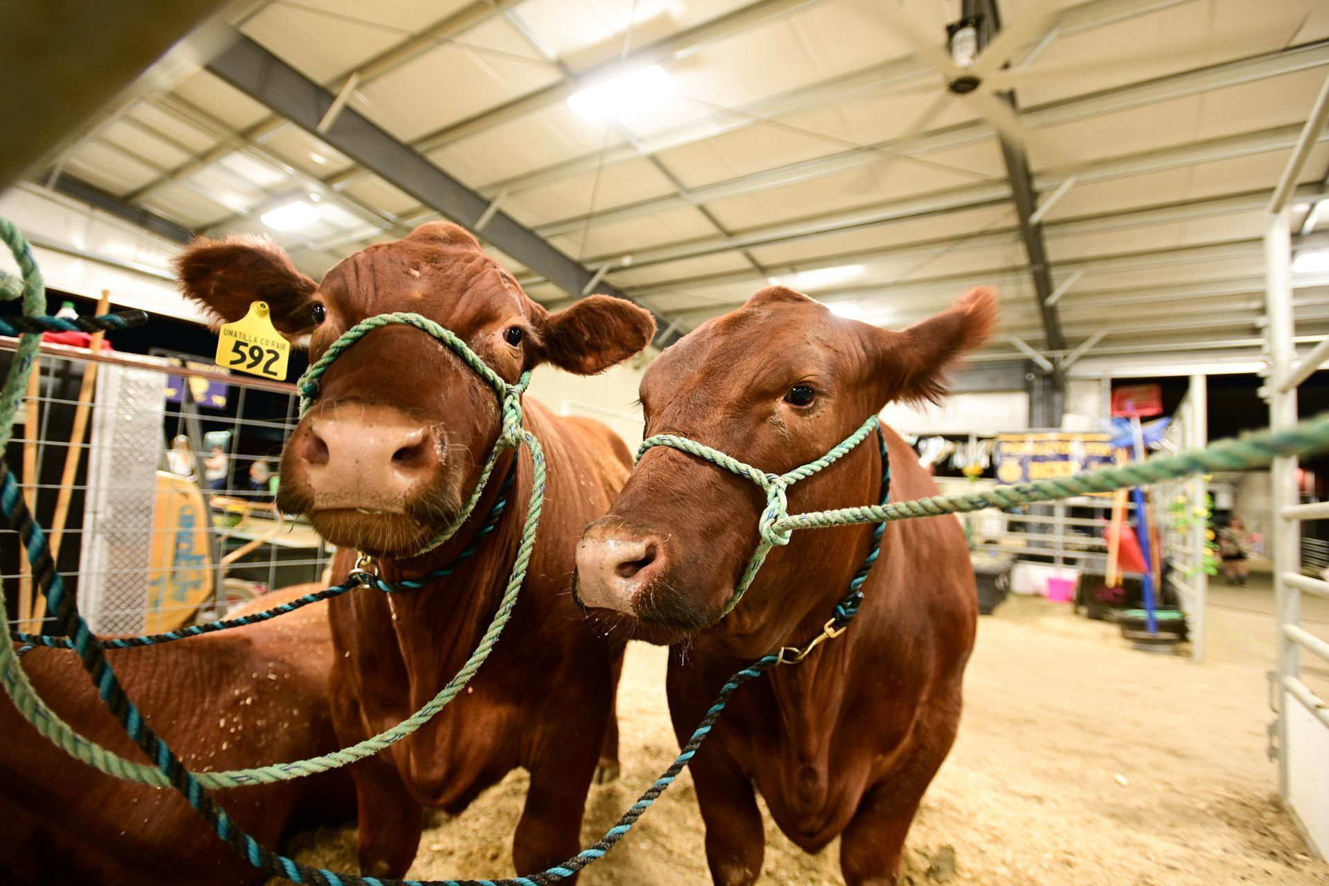 2022 Umatilla County Fair