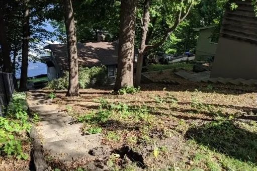 A dirt path leading to a house surrounded by trees