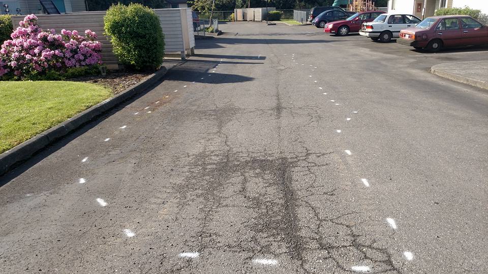 Asphalt Patching & Asphalt Paving