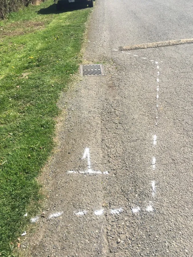 Asphalt Patching & Asphalt Paving