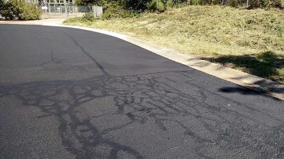 Asphalt Crack Sealing