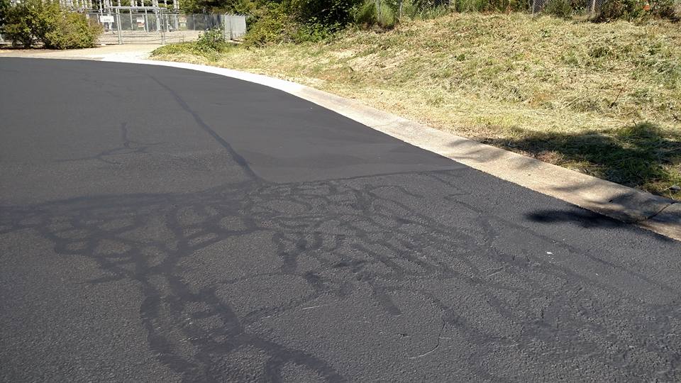 Asphalt Crack Sealing
