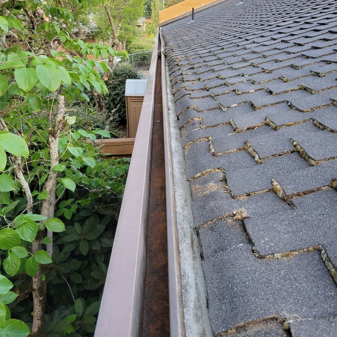 clean gutter