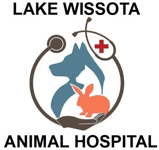 Lake Wissota Animal Hospital