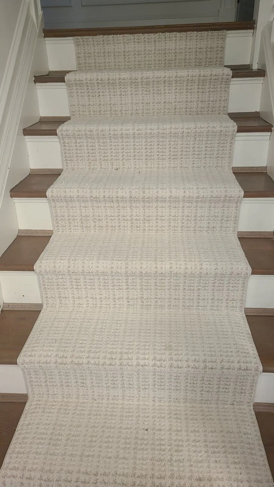 Carpeted staircase with light beige runner and white banisters