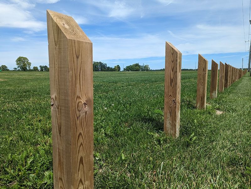Wooden fence posts in a grassy field under a blue sky.