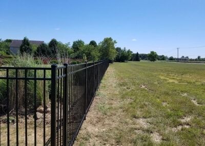 Black metal fence bordering a grassy field under a blue sky, trees in the distance.