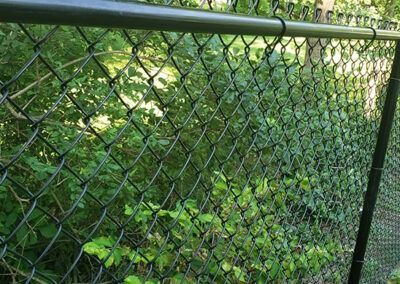Black chain-link fence with foliage behind it.