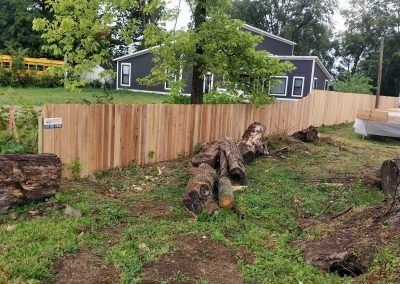 A wooden fence borders a yard with tree stumps, logs, and a dark-colored house in the background.