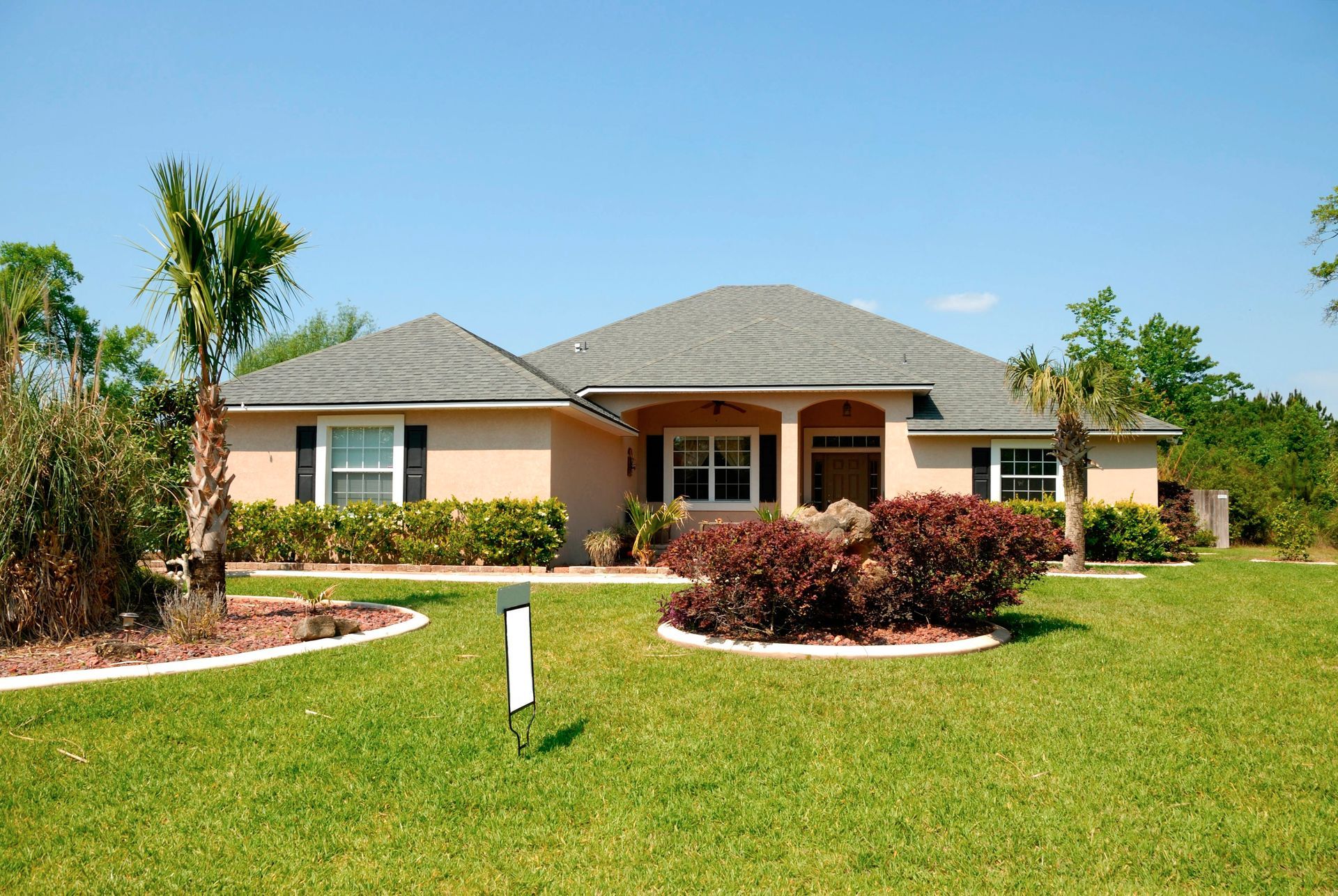 7 Palm Tree Landscaping Ideas for Your Backyard