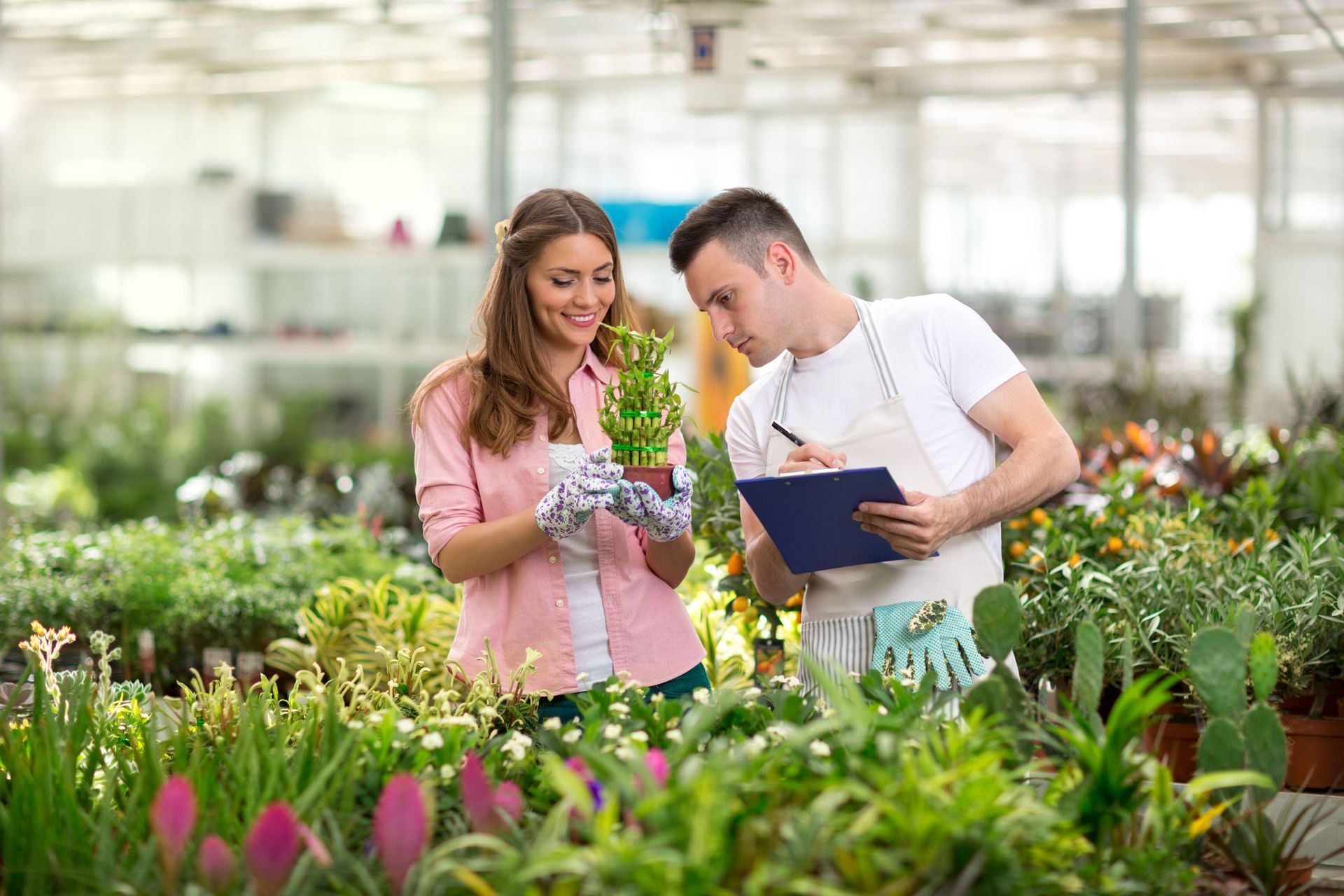 6 Tips for Choosing Healthy Plants at the Nursery