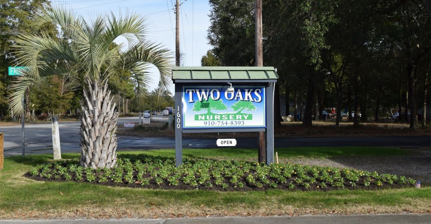A sign that says two oaks is in front of a palm tree.