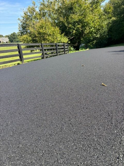 Black paved path beside a wooden fence and green trees on a sunny day
