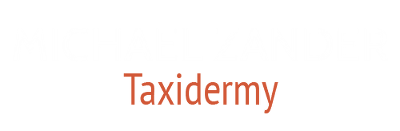 Michael Zander Taxidermy